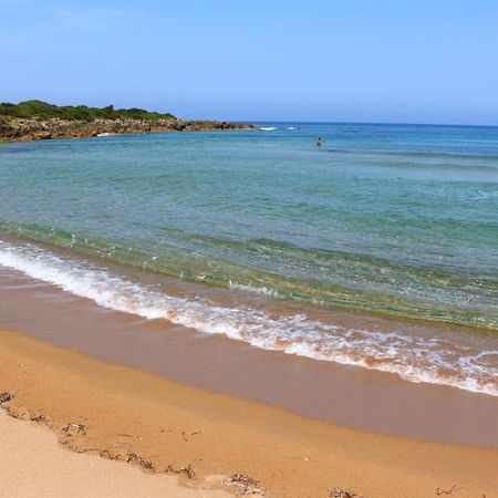 Cozy Flats In An Olive Grove By The Sandy Beach Kánalos エクステリア 写真