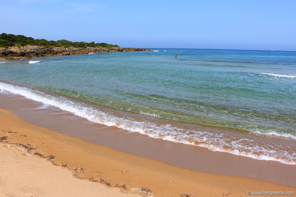Cozy Flats In An Olive Grove By The Sandy Beach Kánalos エクステリア 写真