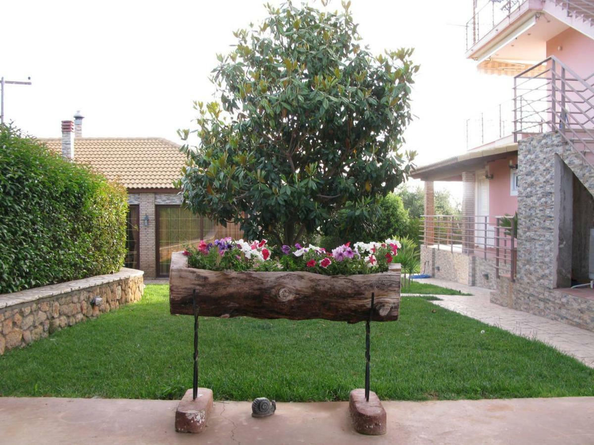 Cozy Flats In An Olive Grove By The Sandy Beach Kánalos エクステリア 写真